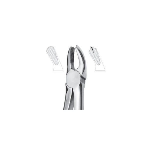 EXTRACTION FORCEPS - MOLARS