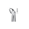 EXTRACTION FORCEPS - INCISORS/CANINES