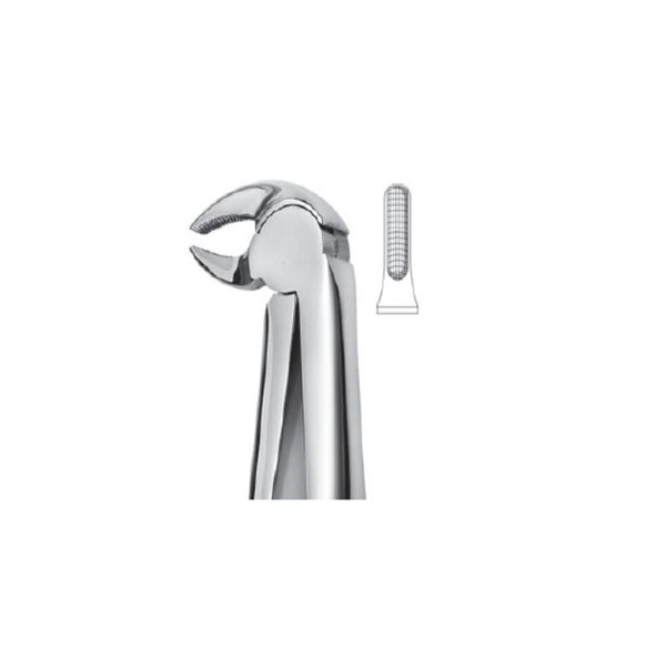 EXTRACTION FORCEPS - BICUSPIDS