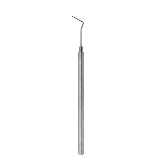 Explorer 100