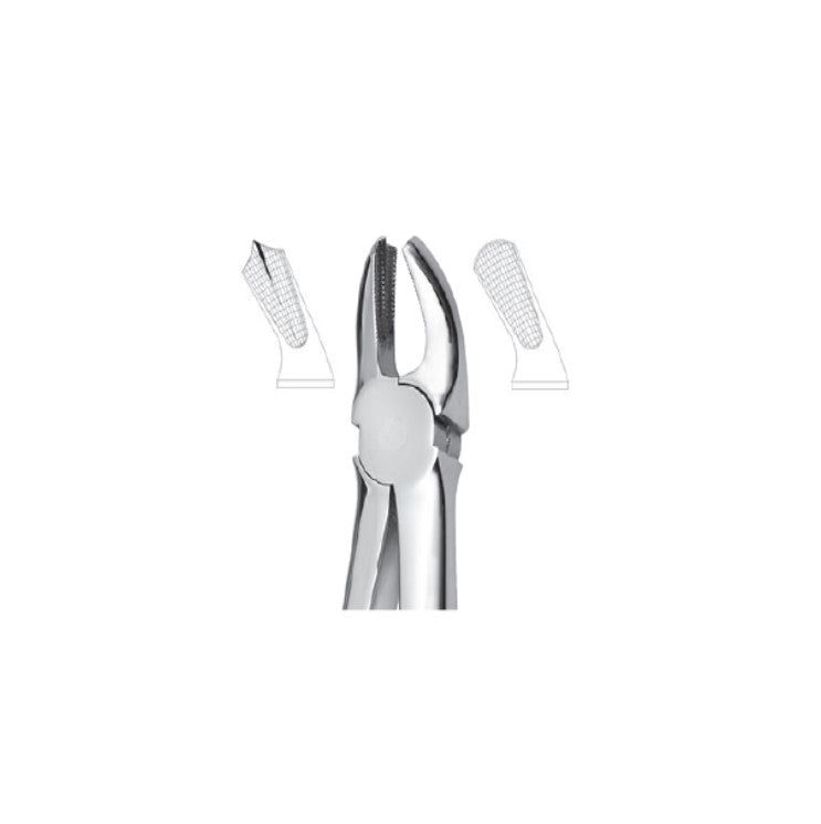 EXTRACTION FORCEPS - MOLARS
