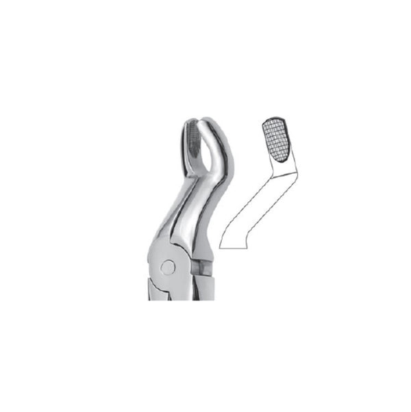 EXTRACTION FORCEPS - WISDOM TEETH
