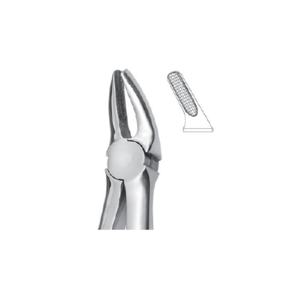 EXTRACTION FORCEPS - BICUSPIDS
