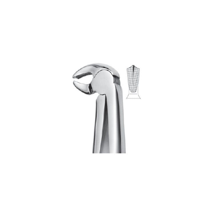 EXTRACTION FORCEPS - MOLARS
