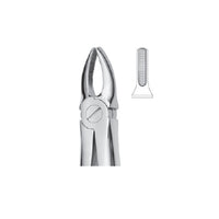 EXTRACTION FORCEPS - INCISORS/CANINES