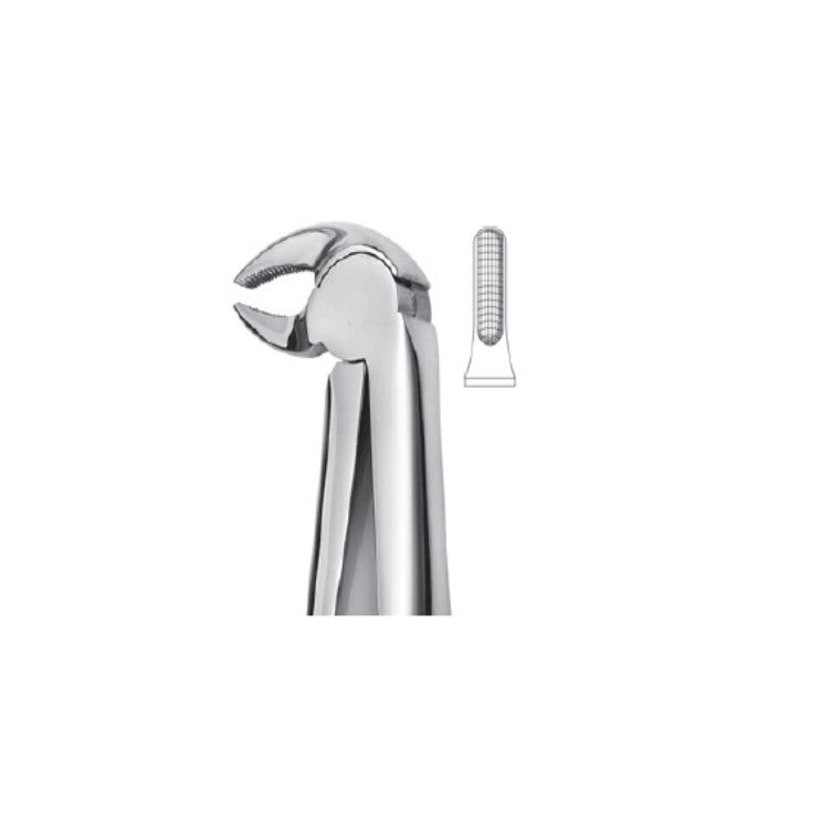 EXTRACTION FORCEPS - BICUSPIDS